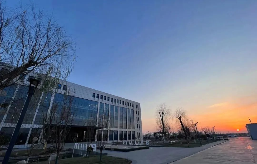 El COVID-19 sigue retorciéndose, pero el amor y la calidez siguen aquí 